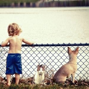 6 Consigli per vivere al meglio l'estate con il tuo Pet