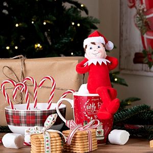 Adotta un Elfo di Babbo Natale!