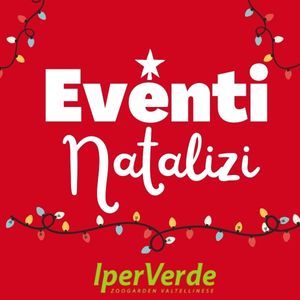 Eventi Natalizi 2022