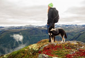 Dog trekking e passeggiate a 6 zampe