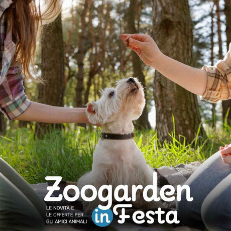 Volantino Pet Shop Iperverde 26 giugno - 17 agosto 2025