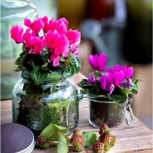 Volantino Casa e giardino Festa d'autunno - dal 16 Settembre al 17 Ottobre 2021