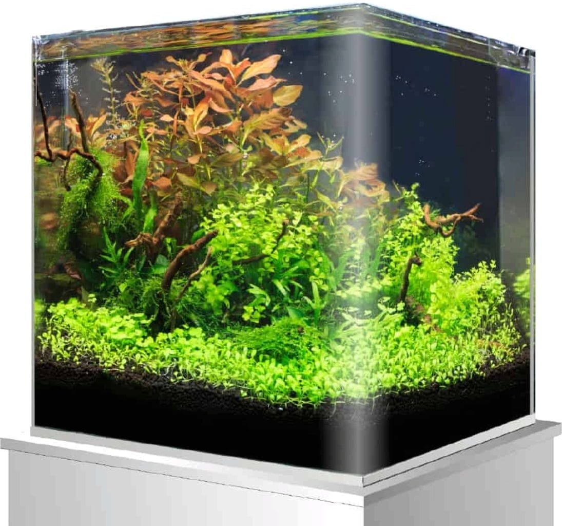 amtra nanotank 90 45x45x45cm