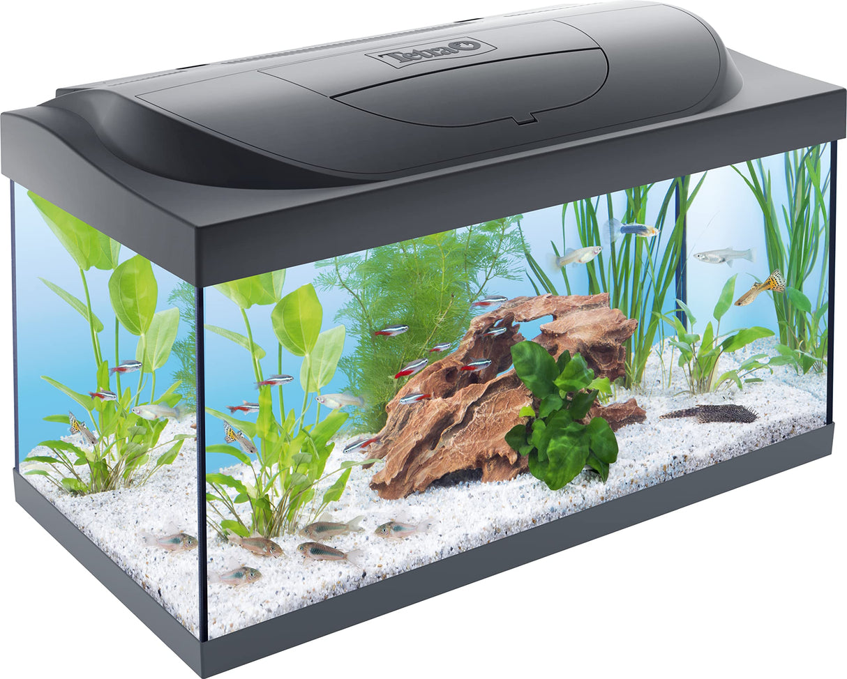 Tetra Starter Line Led Day/Lunar 30 lt