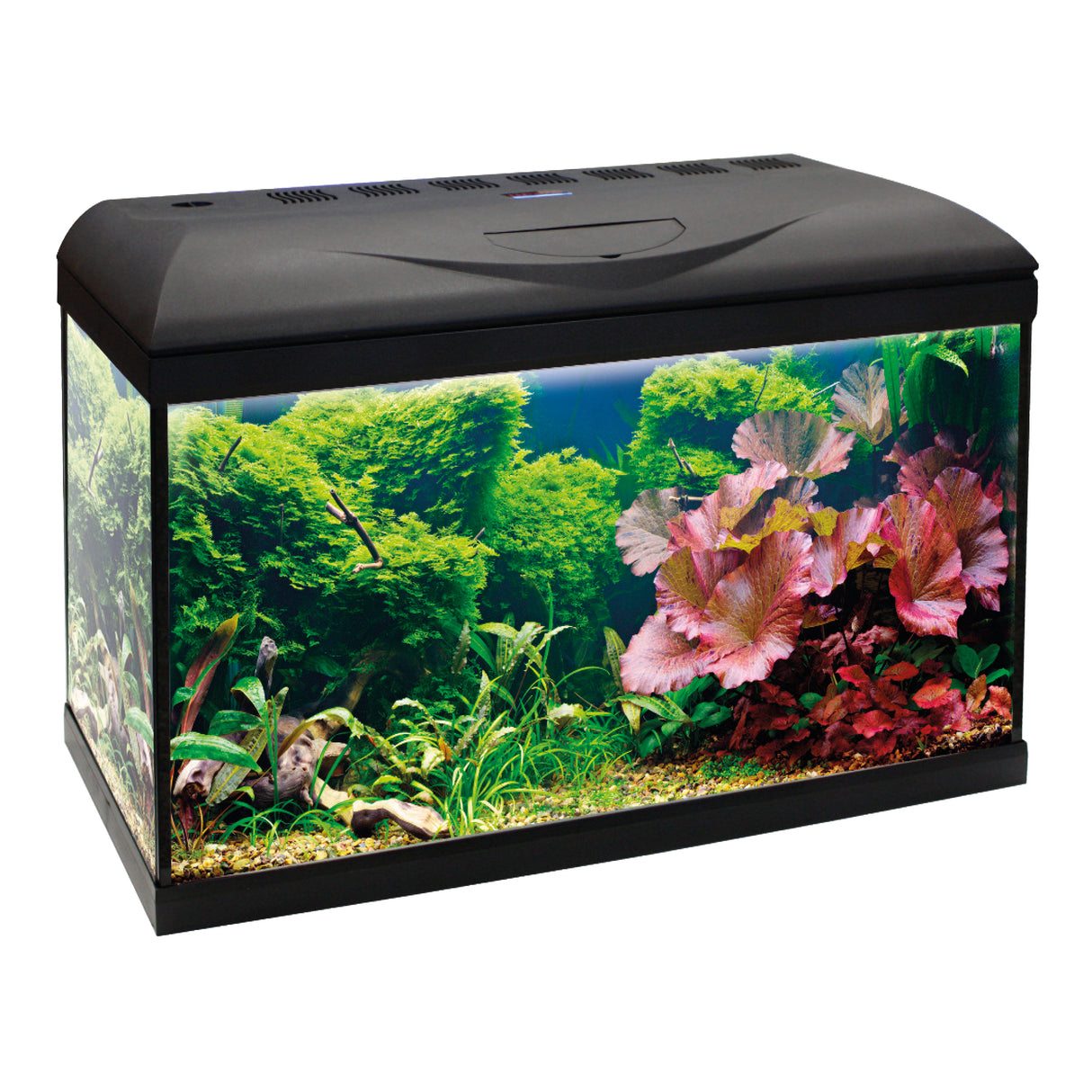 Amtra Basic Led 60 Nero - 55 lt