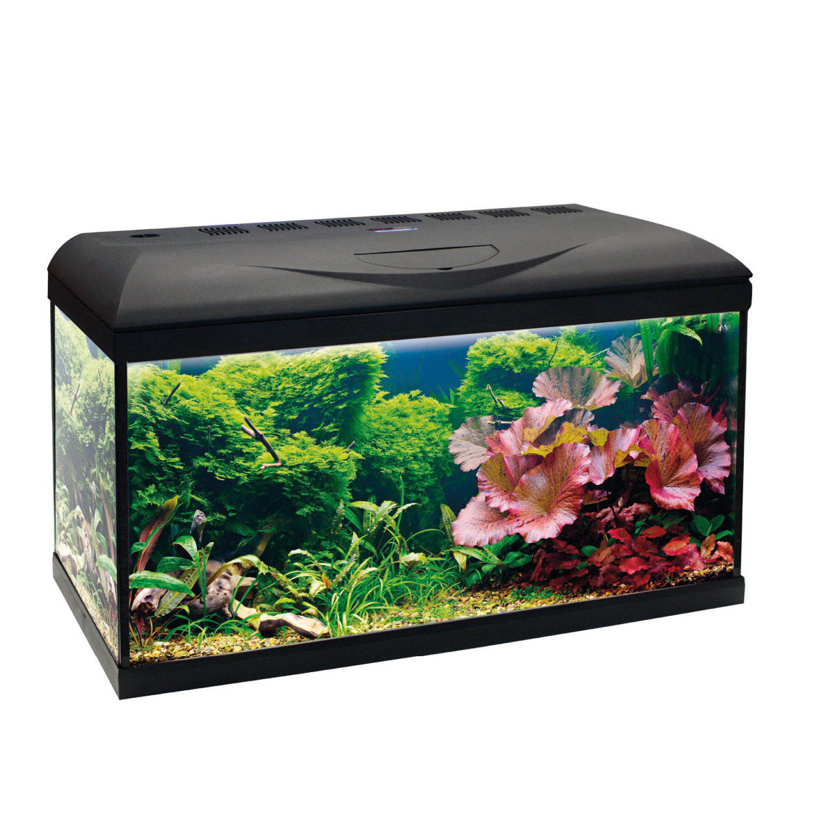 Amtra Basic Led 60 Nero - 55 lt
