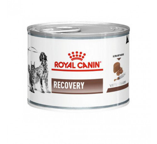 Royal Canin Diet DogCat Recovery 195 gr