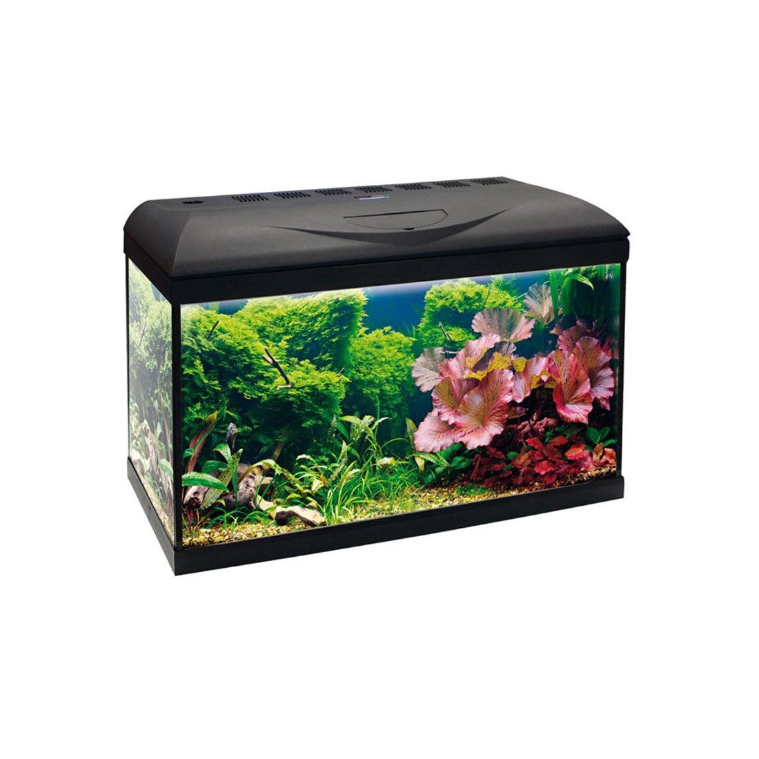 Amtra Basic Led 80 Nero - 85 lt