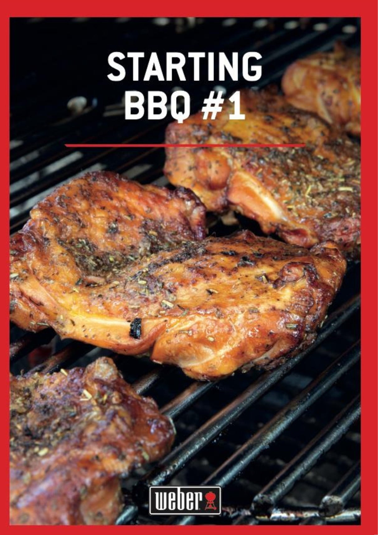 Corso Weber di cottura al Barbecue - Starting Bbq #1 - 18.04.2026 ore 9.30