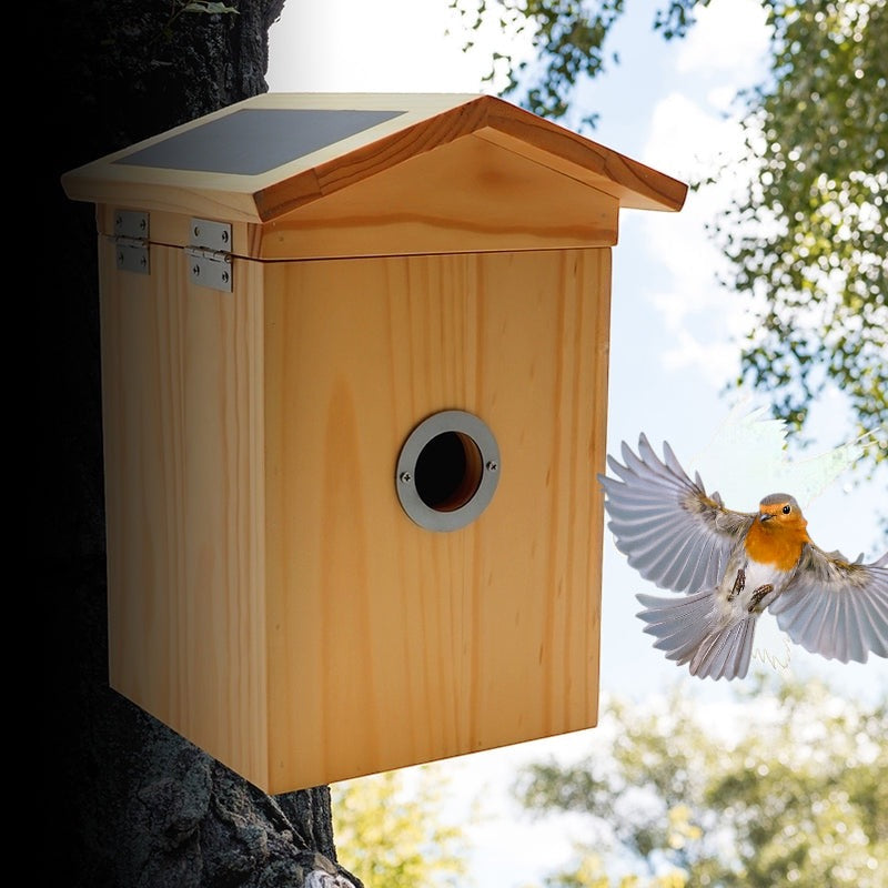 Croci Nido Smart per uccelli Wifi con telecamera