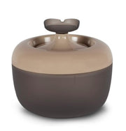 Fontana malaga fiore per gatti