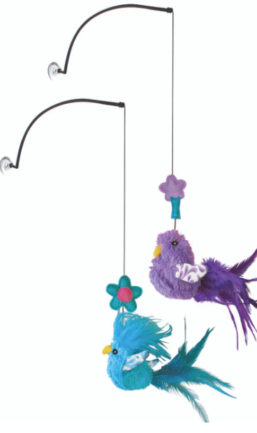 KONG GIOCO GATTO WINDIW TEAER