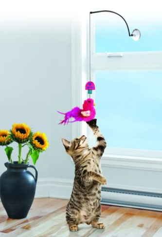 KONG GIOCO GATTO WINDIW TEAER