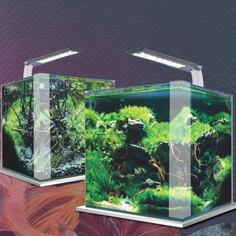 Workshop + KIT completo Amtra basic led Bianco