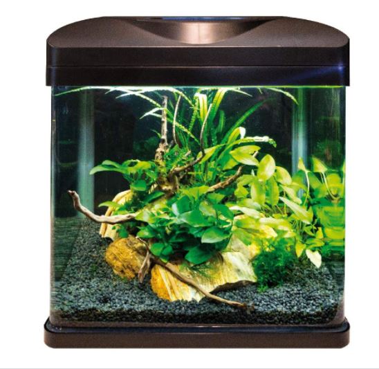 Acquario Amtra laguna LED 30