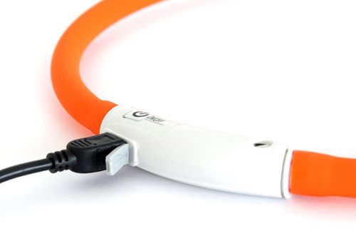 Collar with rechargeable LED lights for dogs