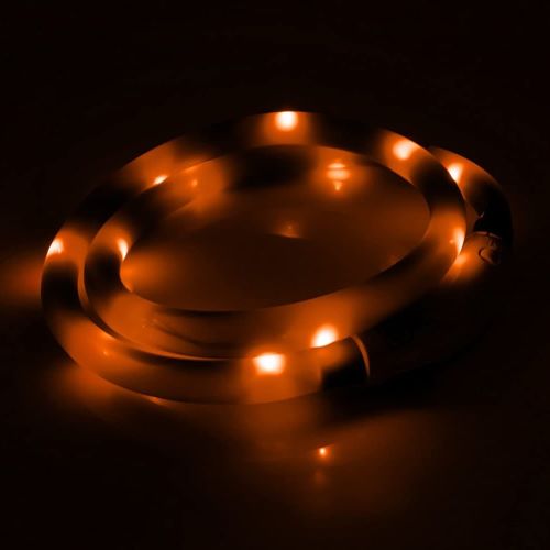 Collar with rechargeable LED lights for dogs