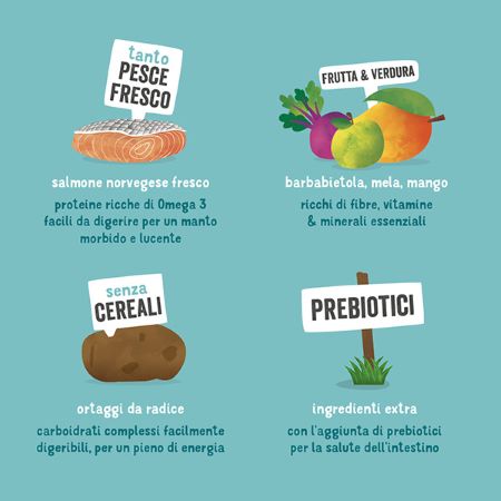 Edgard & Cooper - Adult Kroketten Frischer norwegischer Lachs Getreidefrei