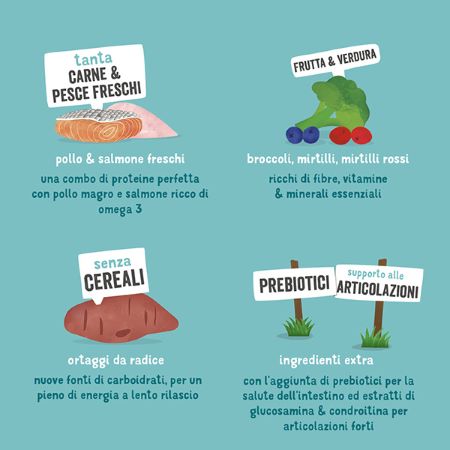 Edgard & Cooper - Cani anziani crocchette pollo allevato a terra & salmone norvegese freschi