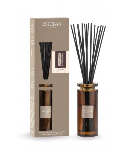 Esteban fragranza Cedre