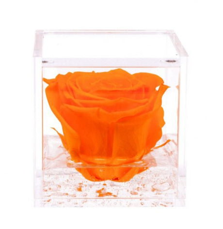 Flowercube rosa stabilizzata 10 cm
