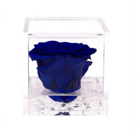 Flowercube rosa stabilizzata 10 cm
