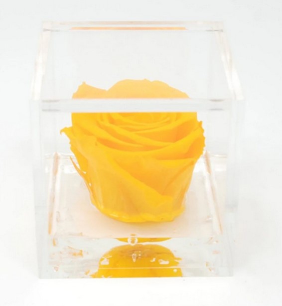 Flowercube rosa stabilizzata 10 cm