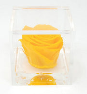 Flowercube rosa stabilizzata 10 cm