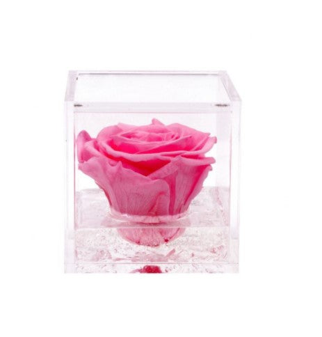 Flowercube rosa stabilizzata 10 cm