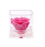 Flowercube rosa stabilizzata 10 cm