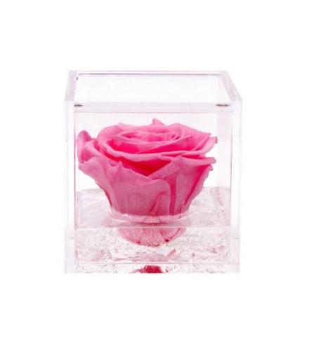 Flowercube rosa stabilizzata 10 cm