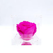 Stabilized pink flowercube 8 cm