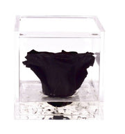 Stabilized pink flowercube 8 cm