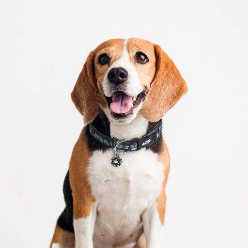 Für Fan Pets Darth Vader Star Wars Hundehalsband