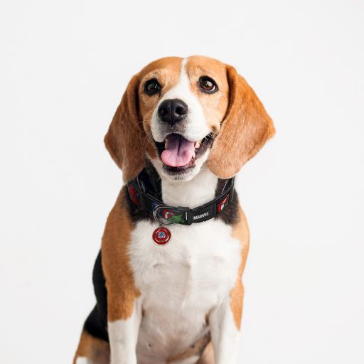 For Fan Pets Marvel Dog Collar