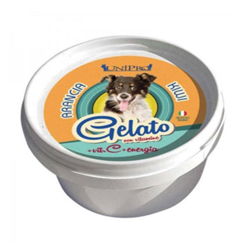 Orange and kiwi flavored ice cream for dogs 60 gr