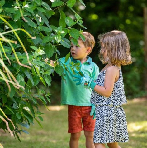 Kinderhandschuhe BlackFox