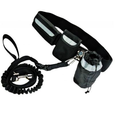 Hands-free dog jogging kit
