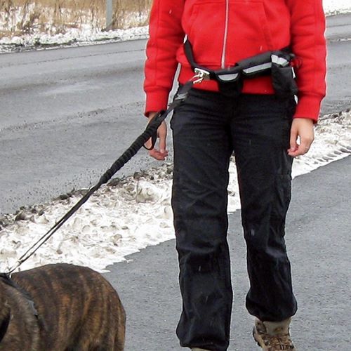 Hands-free dog jogging kit