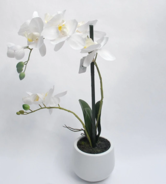 Orchidea artificiale in vaso bianco altezza 48 cm