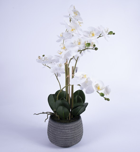 Orchidea artificiale in vaso bianco altezza 58 cm