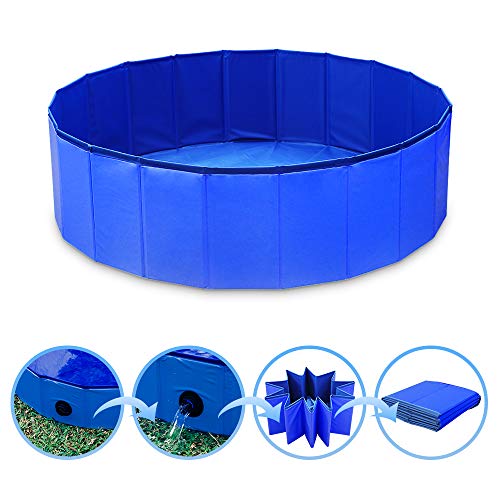 Portable and durable dog pool
