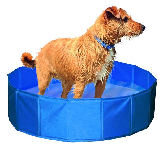 Portable and durable dog pool