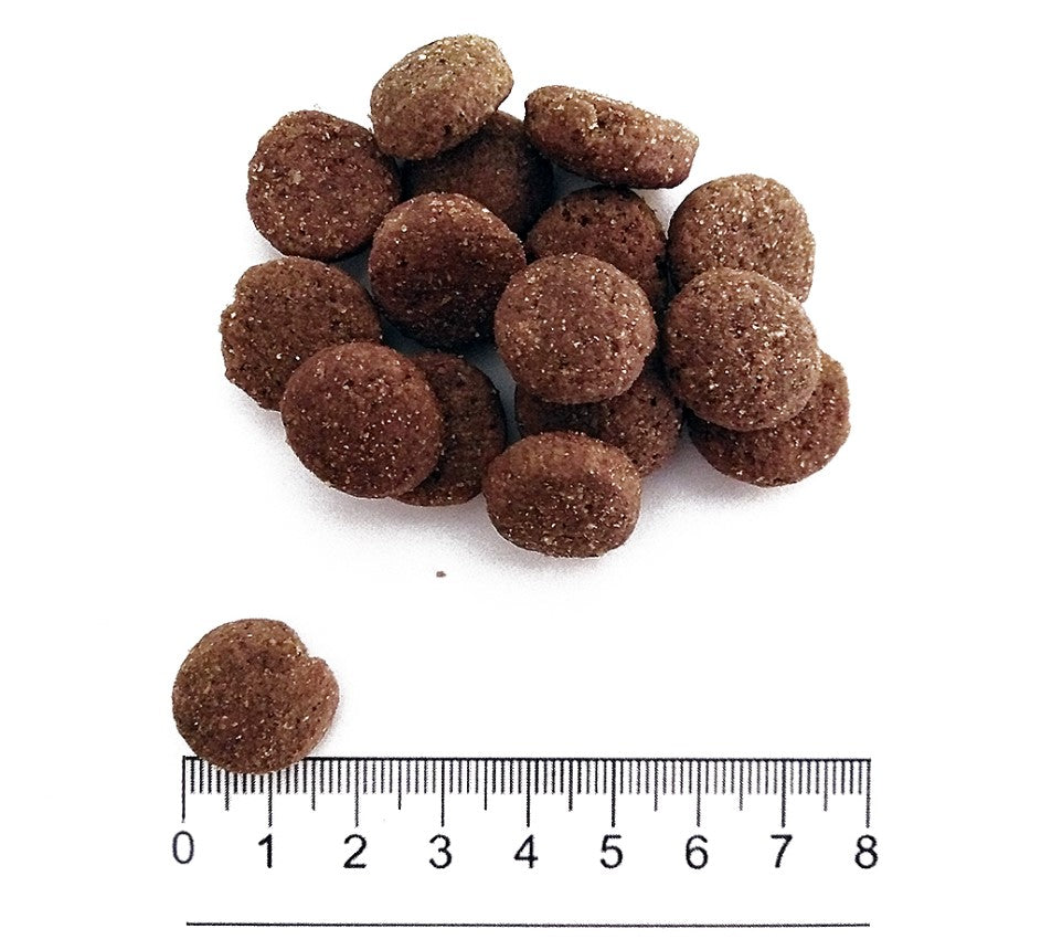 Prolife smart erwachsener Hund Medium Large Huhn Reis 12 kg