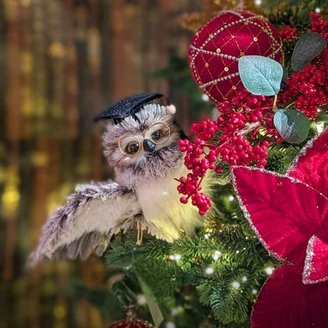 È aperto il Natale Incantato Iperverde 2026