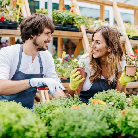 Offerta di lavoro reparto Piante