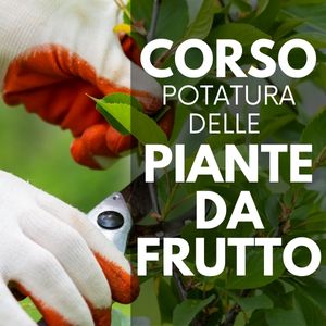 Corso gratuito - Potatura delle piante da frutto 2025