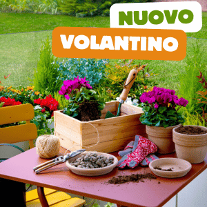 Volantino di Offerte Autunno Iperverde - 12 settembre - 13 ottobre 2024