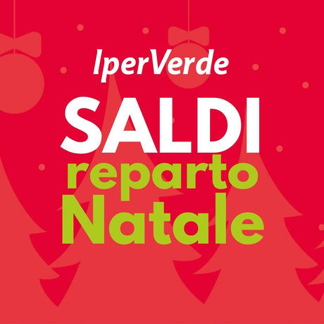 Saldi Natale 2025