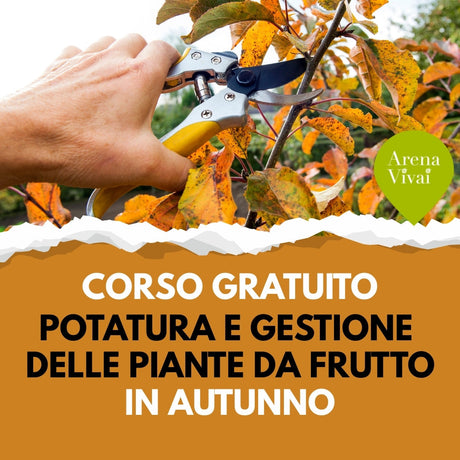 Corso gratuito - Preparazione e Potatura delle piante da frutto in autunno 2025